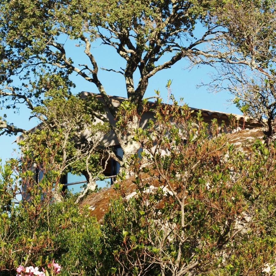 A Camerina Sotta Exterior foto